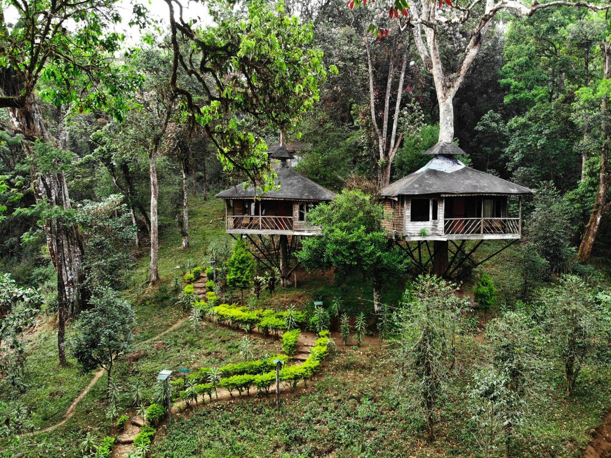 Nature Zone Jungle Resort Munnar Εξωτερικό φωτογραφία