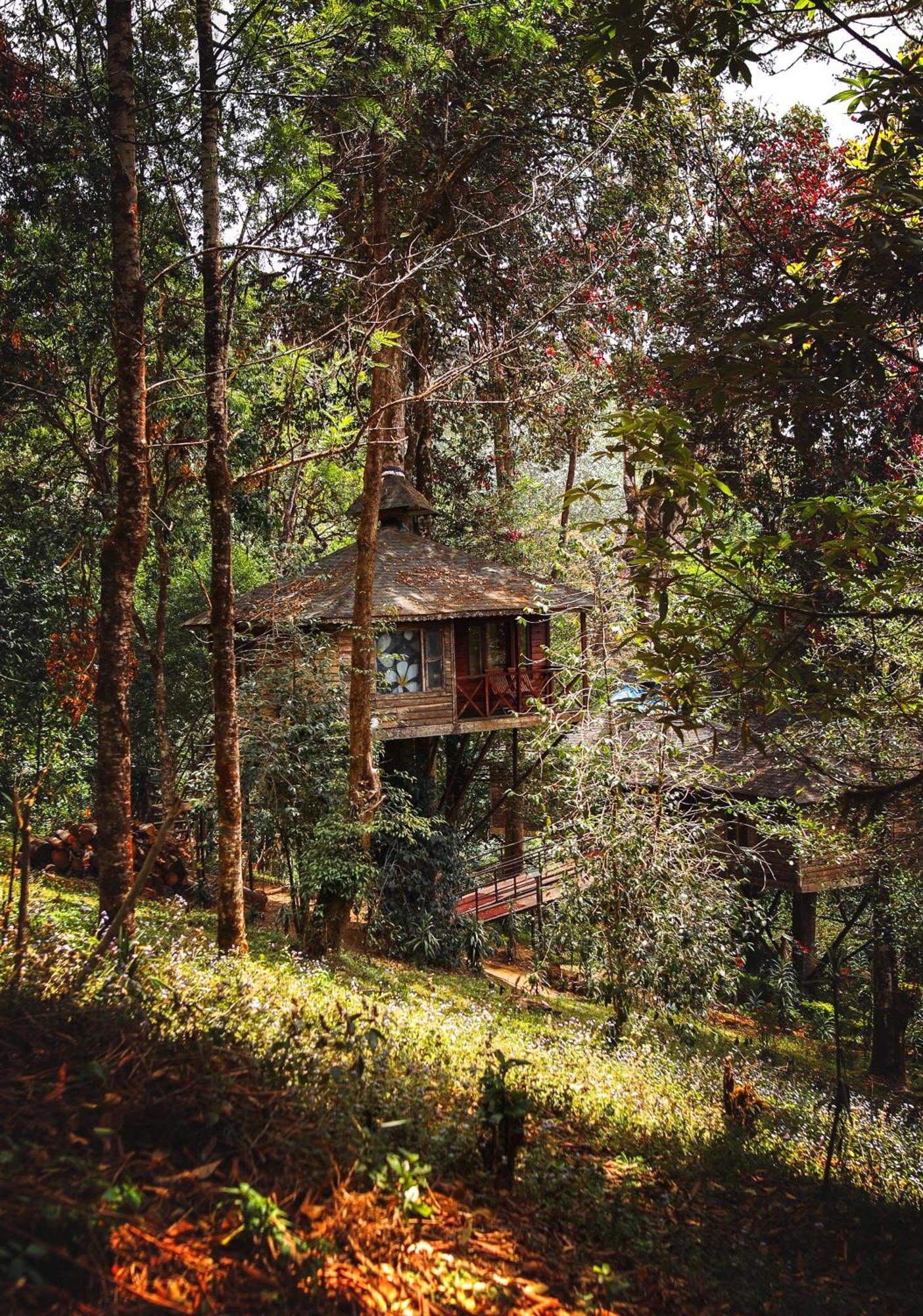 Nature Zone Jungle Resort Munnar Εξωτερικό φωτογραφία